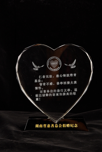湖南省慈善總會(huì)捐贈(zèng)紀(jì)念_DSC6600.jpg