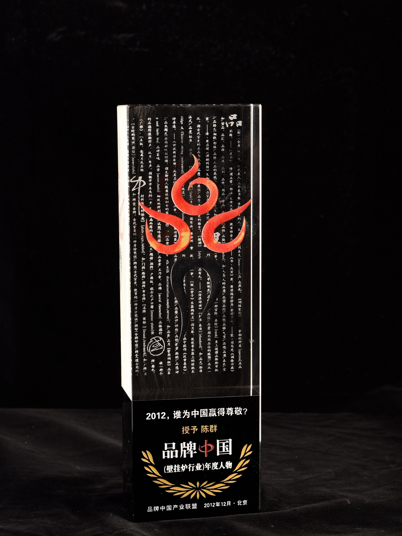 品牌中國（壁掛爐行業(yè)）年度人物
